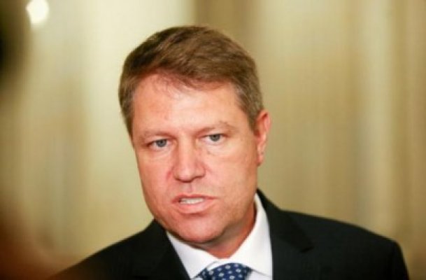 Iohannis: Nu sunt de acord cu eutanasierea masivă a câinilor comunitari, e o barbarie inutilă
